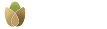 Spainnuts